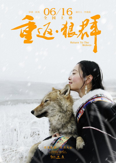 Póster de Return to the Wolves
