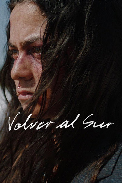 Póster de Returning South