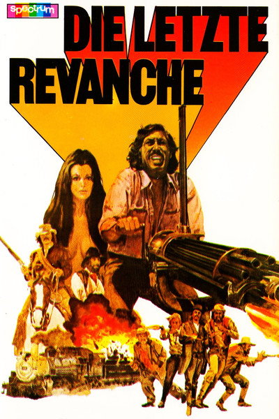 Póster de Revancha implacable