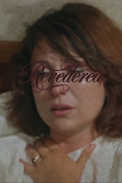 Póster de Revederea