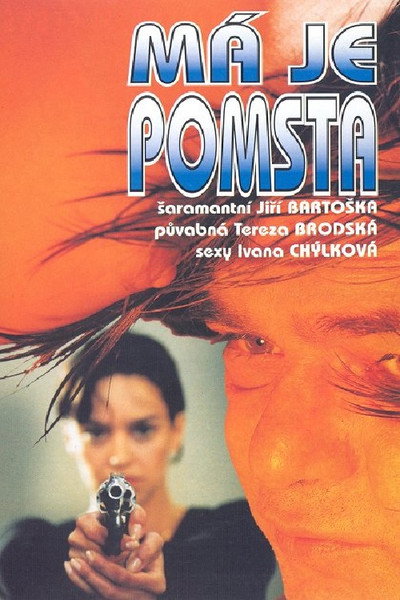 Póster de Revenge