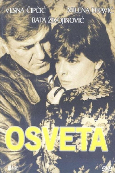 Póster de Revenge