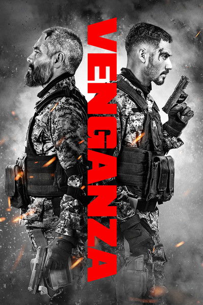 Póster de Revenge
