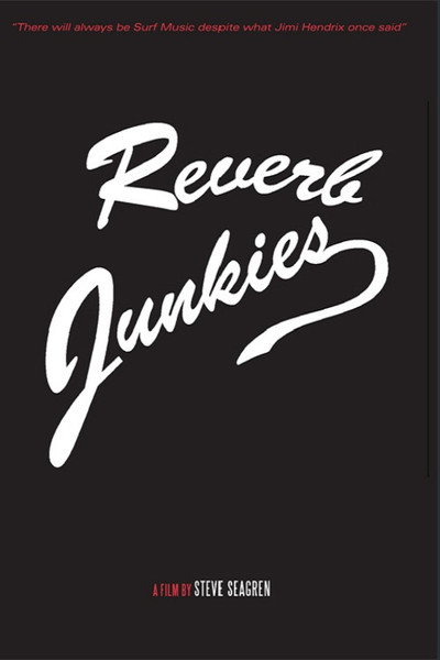 Póster de Reverb Junkies