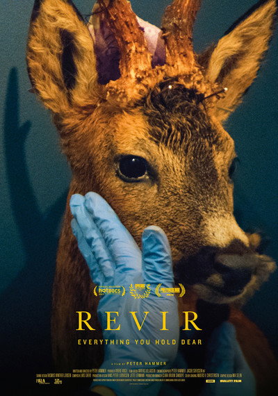 Póster de Revir - Everything You Hold Dear