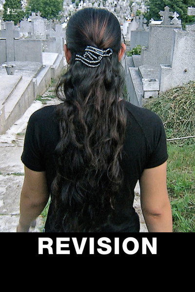 Póster de Revision