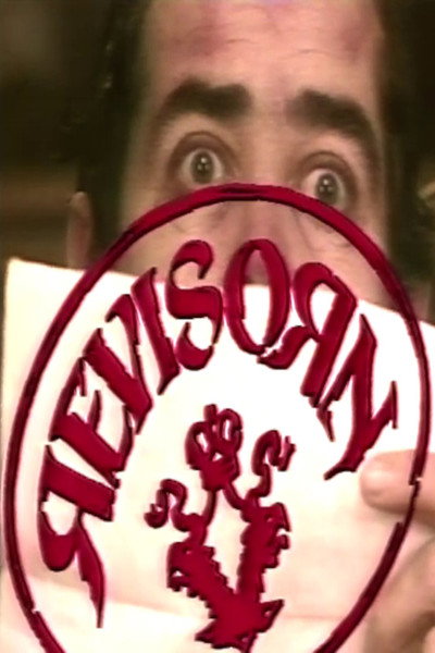 Póster de Revisorn