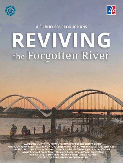 Póster de Reviving the Forgotten River