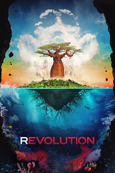 Póster de Revolution