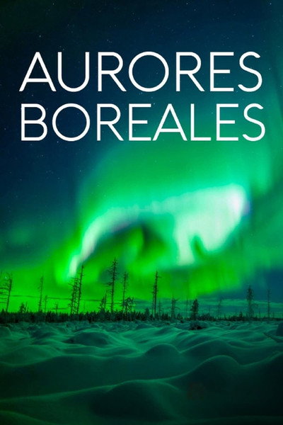 Póster de Revontulien armoilla