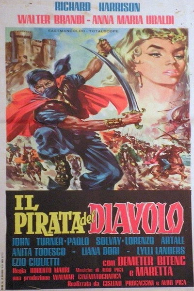 Póster de Rey y pirata