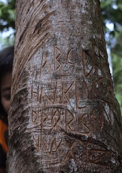 Póster de Rimba Kini