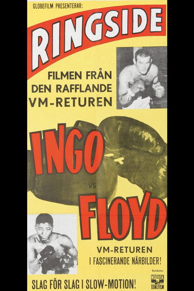 Póster de Ringside