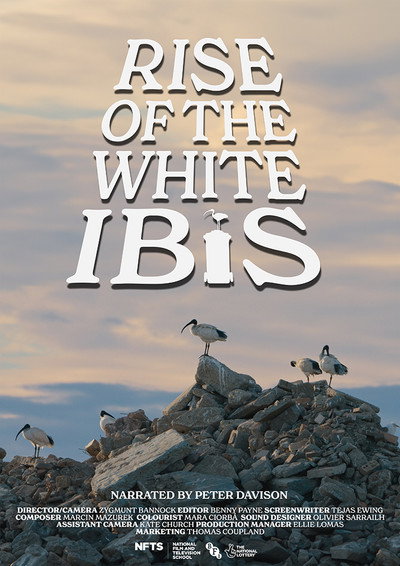 Póster de Rise of the White Ibis