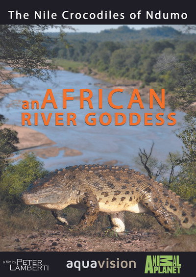 Póster de River Dragons of Ndumo