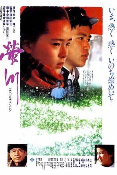 Póster de River of Fireflies