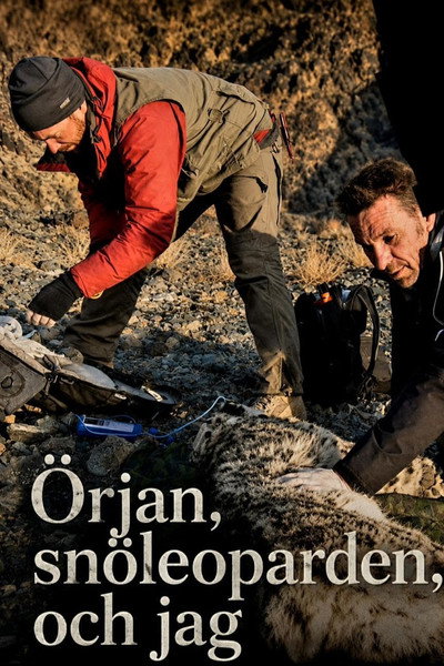 Póster de Örjan, snöleoparden och jag