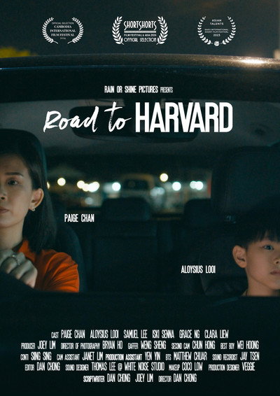 Póster de Road to Harvard