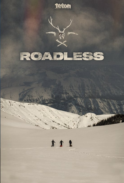 Póster de Roadless