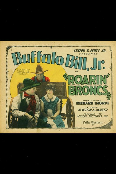 Póster de Roarin' Broncs