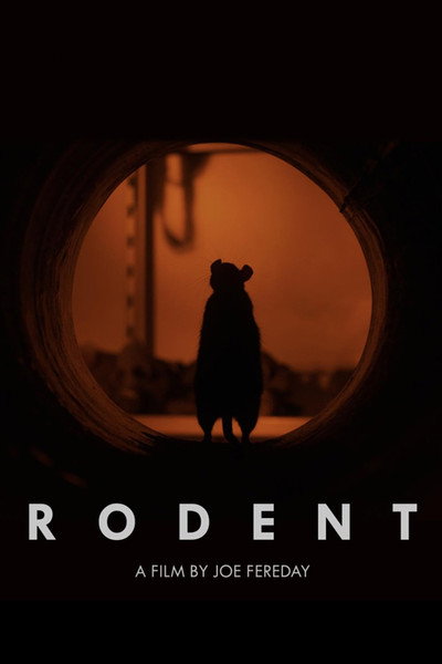 Póster de Rodent