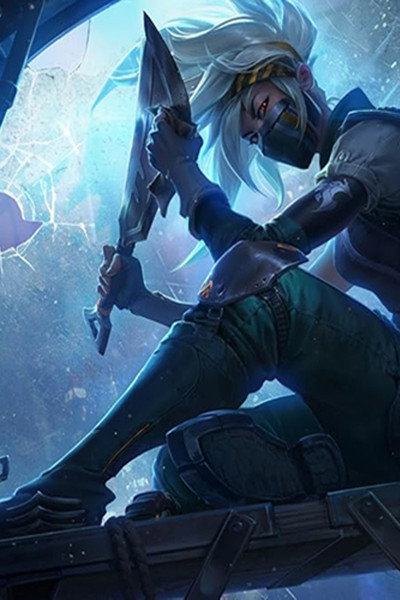 Póster de Rogue Assassin