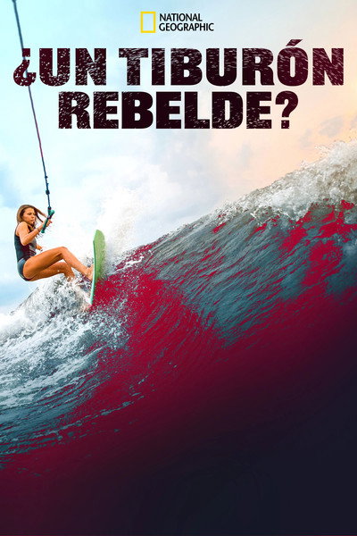Póster de Rogue Shark?