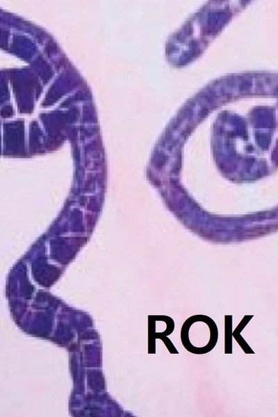 Póster de Rok