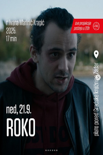 Póster de Roko