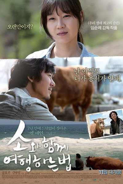 Póster de Rolling Home with a Bull