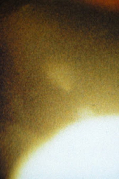 Póster de Roman Numeral Series VI