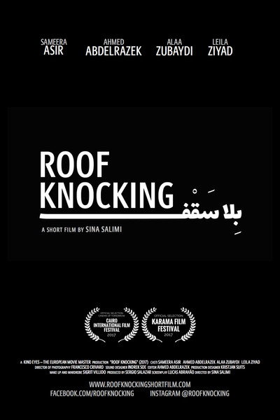 Póster de Roof Knocking