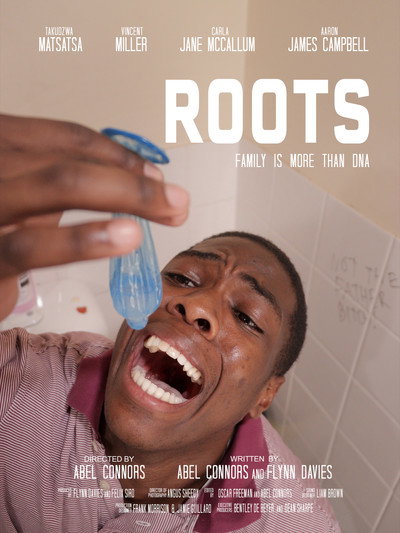 Póster de Roots