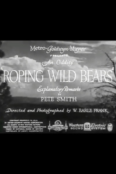 Póster de Roping Wild Bears