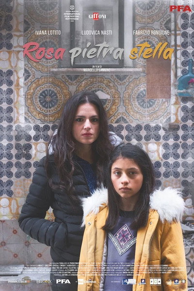 Póster de Rosa, piedra y estrella