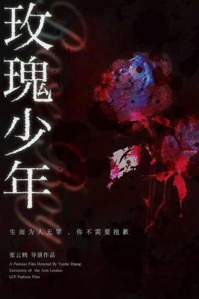 Póster de Rose Boy