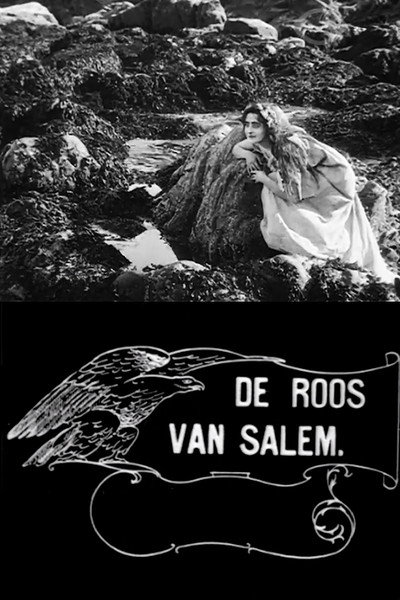 Póster de Rose o' Salem Town