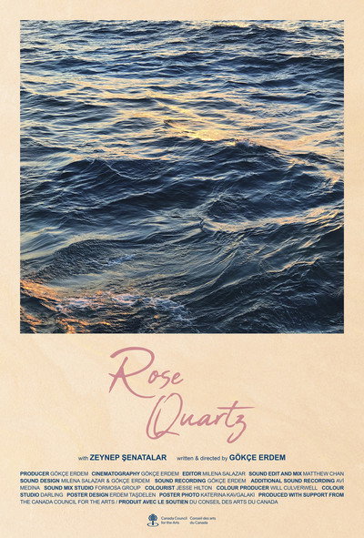 Póster de Rose Quartz