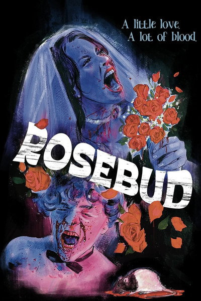Póster de Rosebud