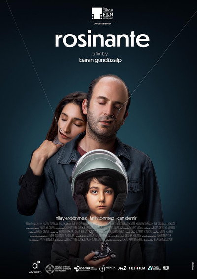 Póster de Rosinante