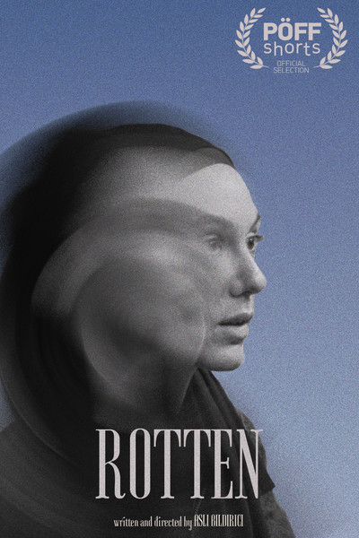 Póster de Rotten