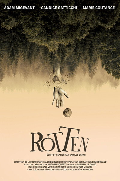 Póster de Rotten