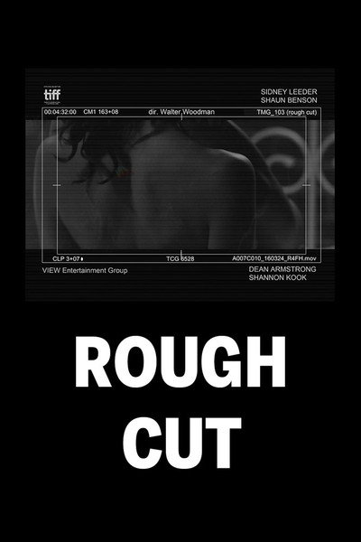 Póster de Rough Cut