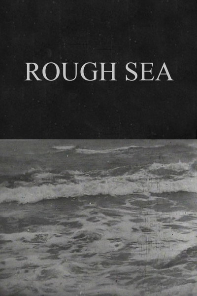 Póster de Rough Sea