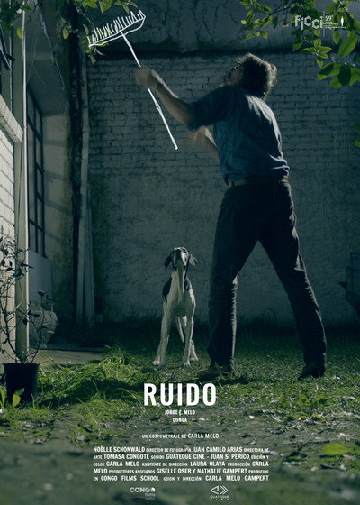 Póster de Ruido