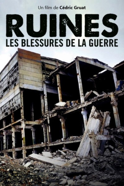 Póster de Ruins: A History of Contemporary Warfare