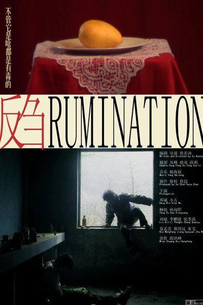 Póster de Rumination