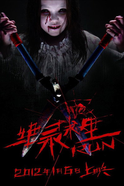 Póster de Run