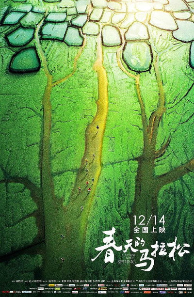 Póster de Running to the Spring