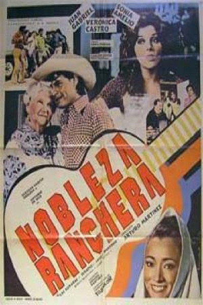 Póster de Rural Chivalry